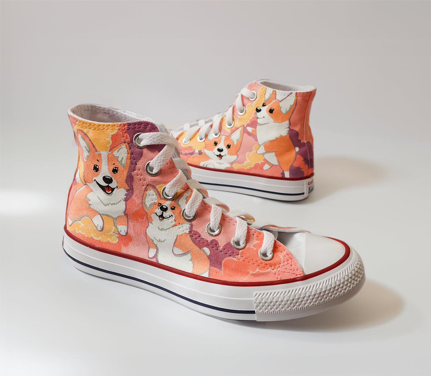 Corgi Custom Shoes