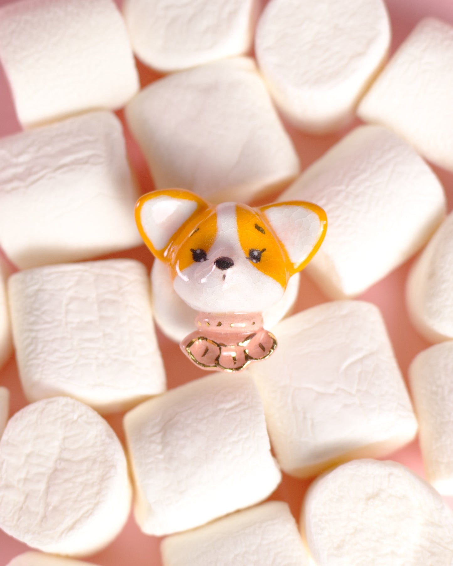 Brošňa - corgi Millie