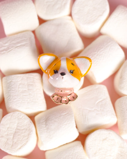 Brošňa - corgi Millie