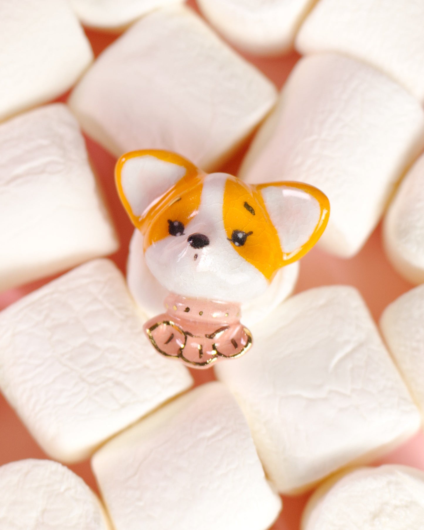 Brošňa - corgi Millie